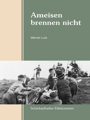 cover image of Ameisen brennen nicht